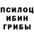Псилоцибиновые грибы прущие грибы Kipelov