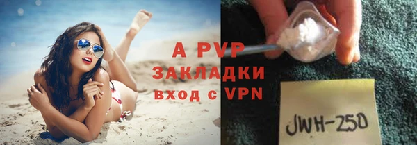 хмурый Абаза
