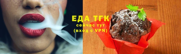 хмурый Абаза