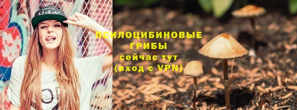 крисы Абдулино