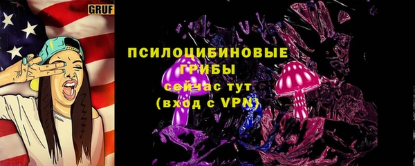 хмурый Абаза