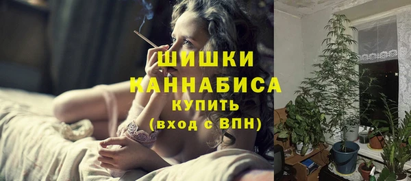 хмурый Абаза