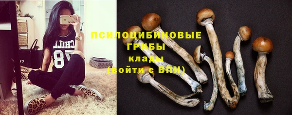 хмурый Абаза
